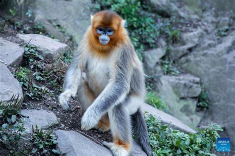 玉合公園的多元風貌探討與其周遭魅力之思考